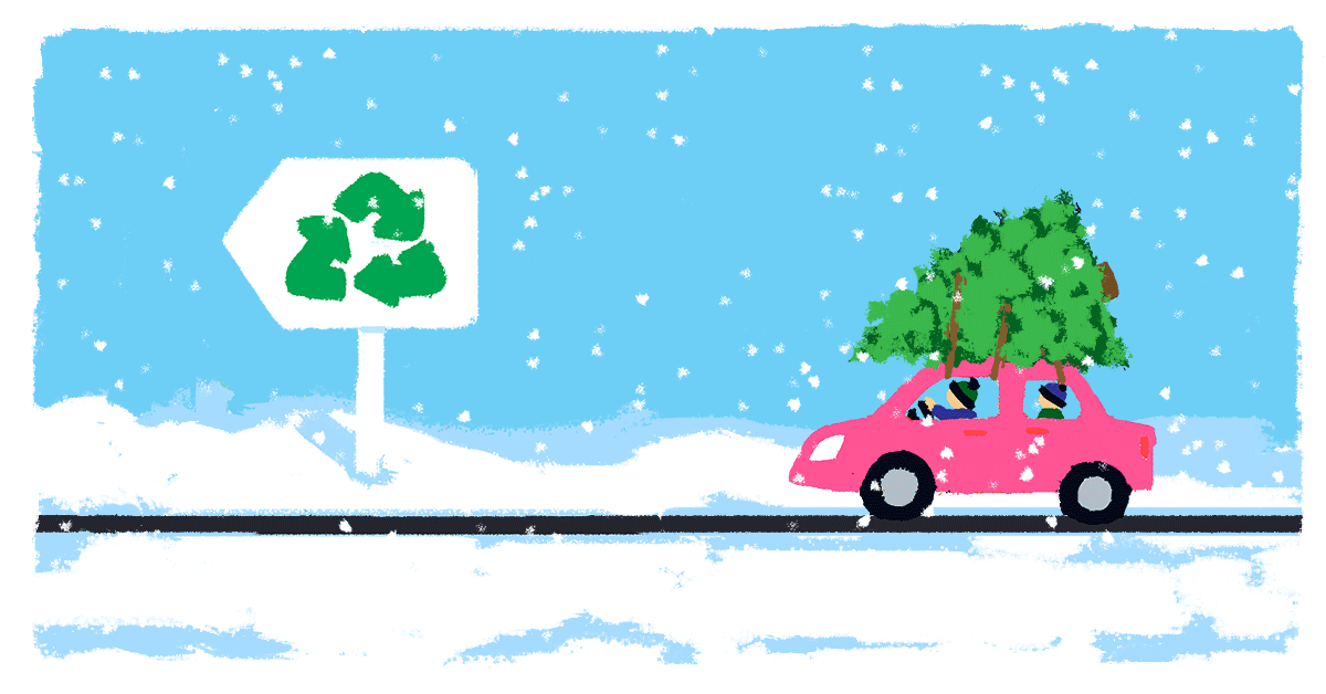 Chicago Christmas Tree Recycling 2024