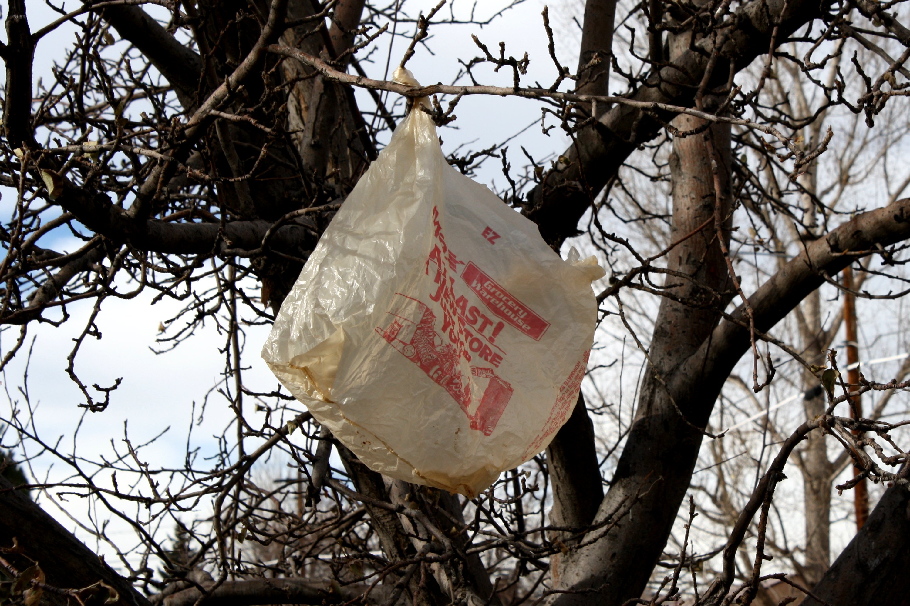 Dispose of Plastic Bags Right