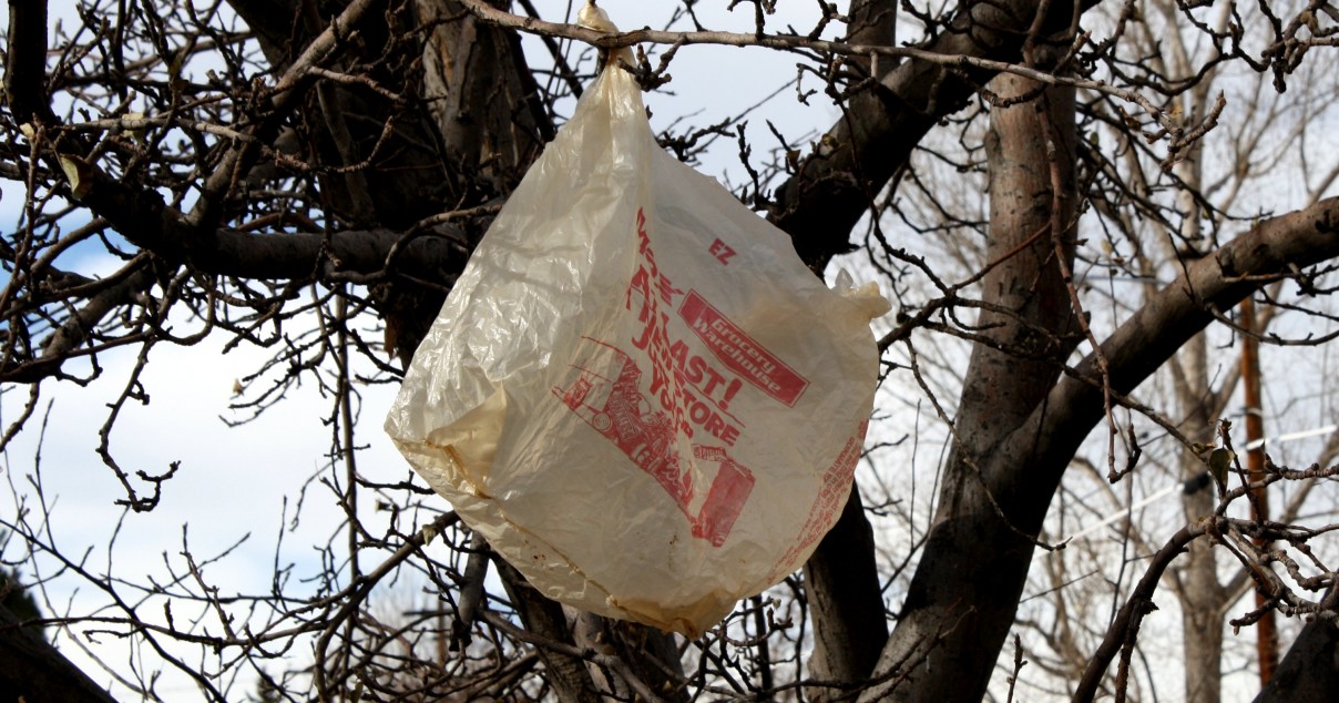 The Final Word on Plastic Bag Recycling