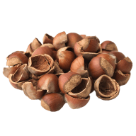 Nuts and Shells 