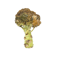 Vegetables