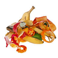 food scraps