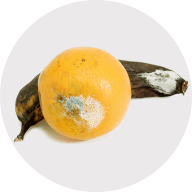 fruits and vegetables 