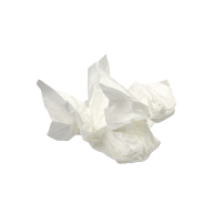 tissue