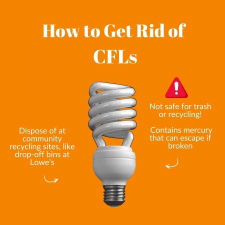 CFL, with warning it contains mercury and should be disposed of safely at a community recycling site