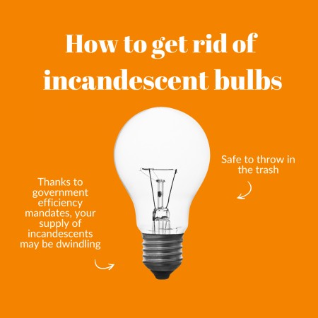 Incandescent bulb, with caption saying it is safe to throw in the trash