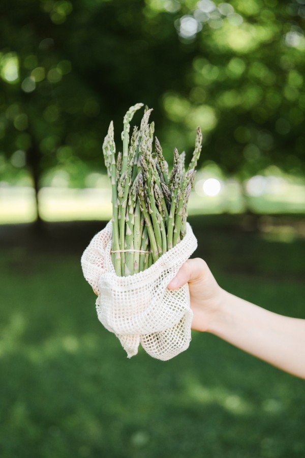  Plastic Produce Bags on a Roll, Disposable or Reusable